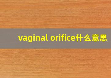 vaginal orifice什么意思